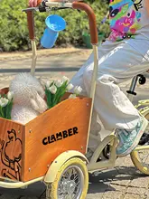 ペットカー 三輪車 小型犬 猫 外出散歩 携帯