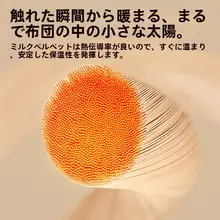 冬用 牛奶绒枕カバー【サンゴフ  リース・花柄・単品】（セットアップ対応）