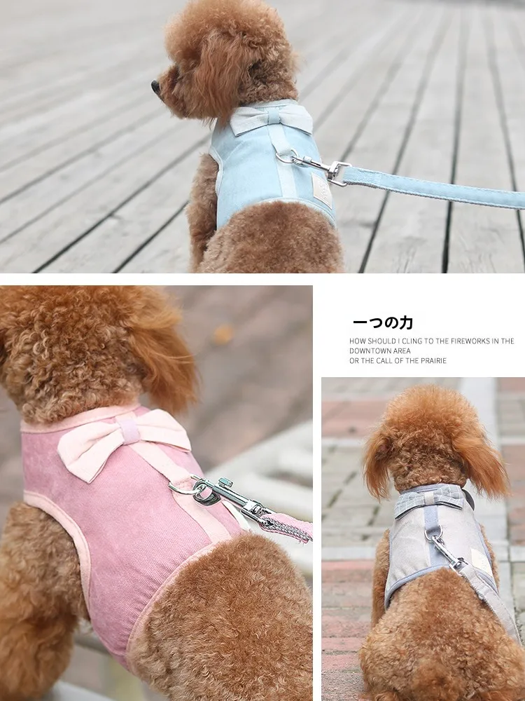 小型犬用背中式ハーネス：PETa ne1が散歩時の負担軽減を実現