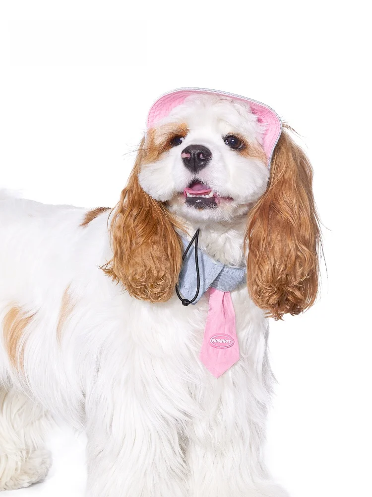 シリコンキャップとは何か：犬用ハット風ネクタイ付きキャップの実用性と仕組み