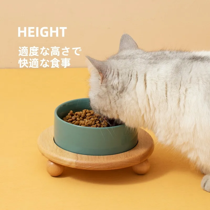 猫飼いが買ってよかったもの・悪かったもの正直に言う｜フードボウル選びの徹底解説