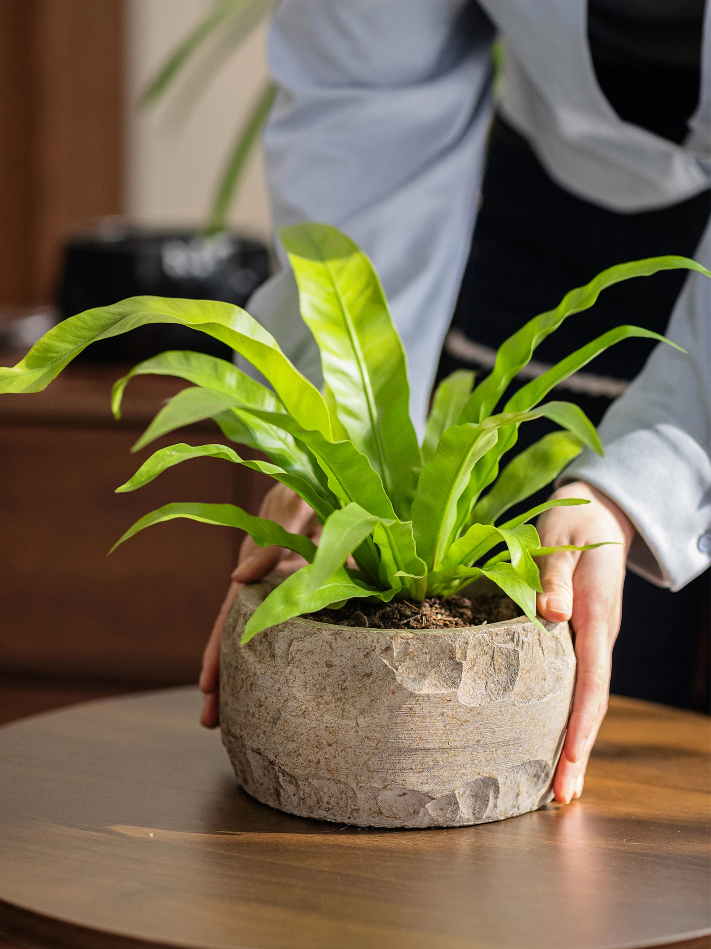 シンプルなコンクリート製フラワーポット：ほったらかしで毎年咲く花を育てるための家庭用プランター