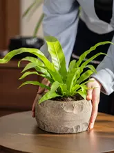 シンプルなコンクリート製フラワーポット【大容量・家庭用・胡蝶蘭栽培用・インテリア装飾】