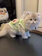夏用猫服【毛防止・通気性抜群・涼感ベスト】