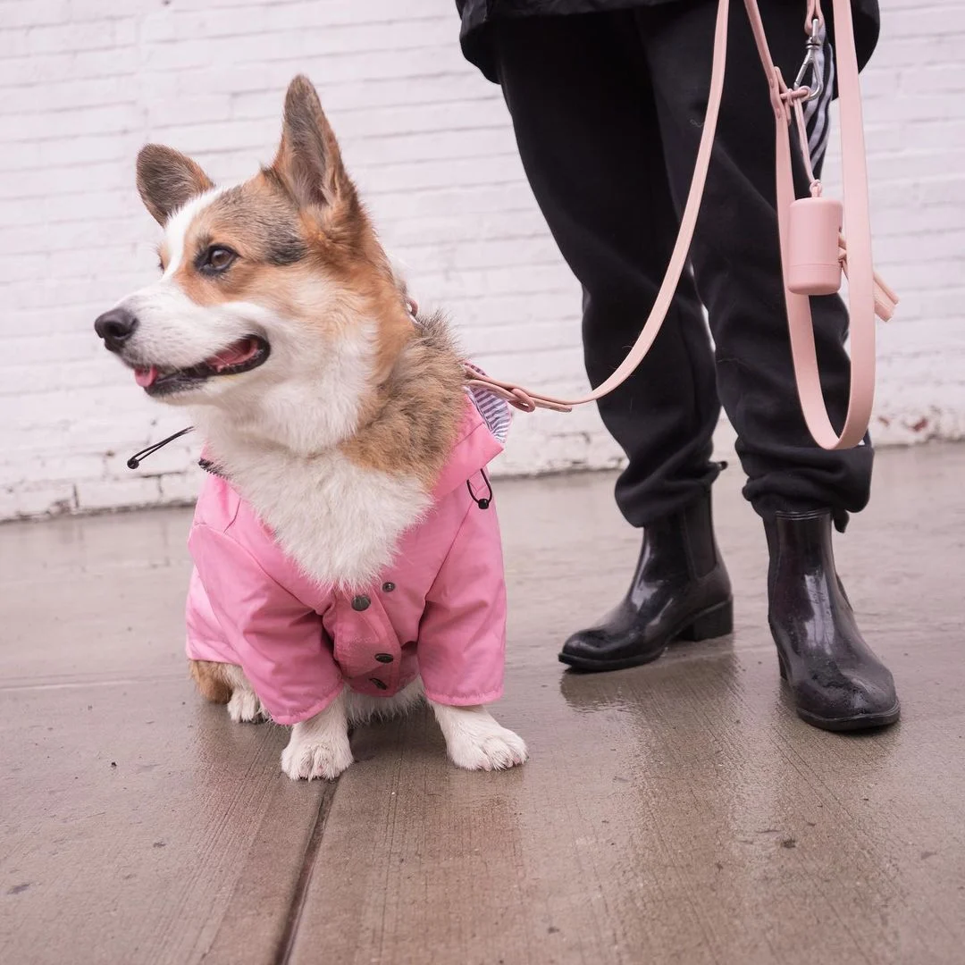 防風防雨のピンク犬用レインコートでコストパフォーマンスを実現する方法