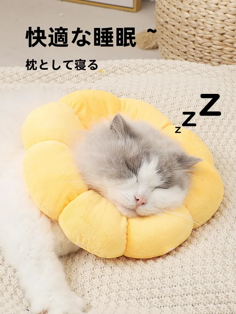 猫飼いが買ってよかったもの・悪かったもの正直に言う｜手術後用サポートマットの完全ガイド