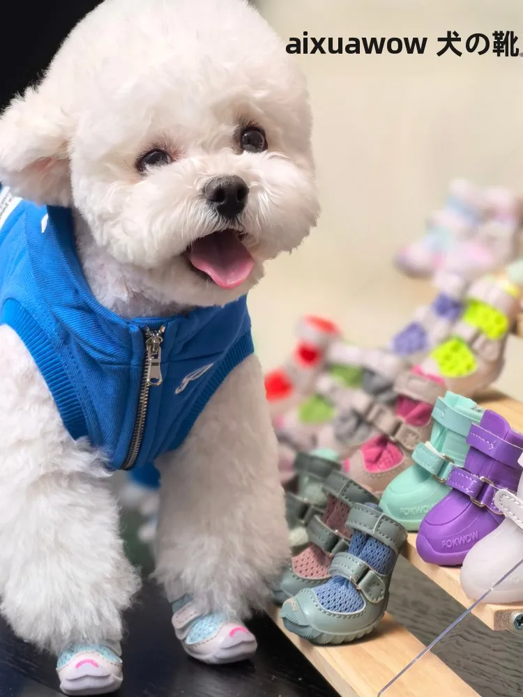 こたつに犬を座らせるのに、足を通さない犬服を選ぶべき理由は？