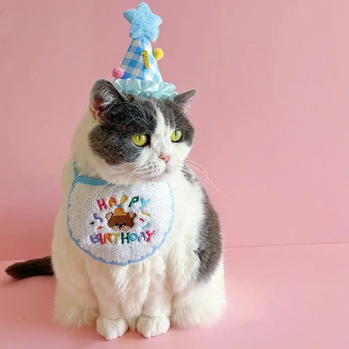 ペット誕生日セット：猫用・犬用の可愛いデザインバースデーハットとスーツセット