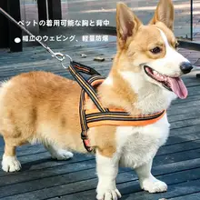 犬用ハーネス付きリード【中型・大型犬用・快適な胸部サポート】