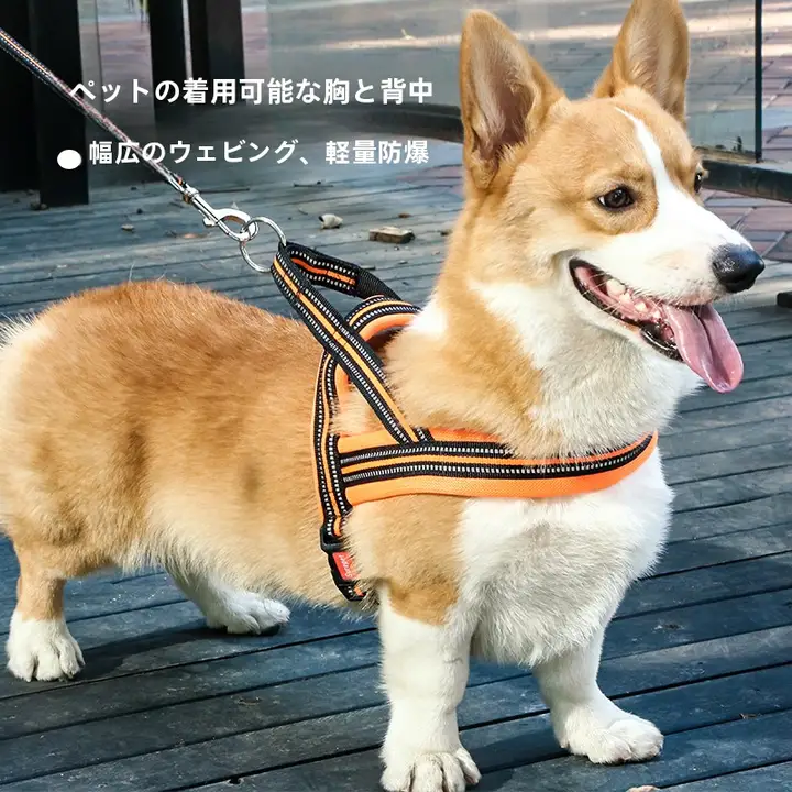 犬用ハーネス付きリード【中型・大型犬用・快適な胸部サポート】