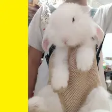 ペット用リュックサック【猫・犬兼用・持ち運び便利・前面ポケット付き】