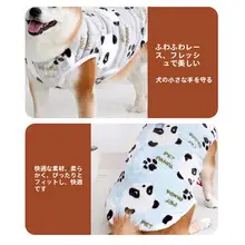 ペット用 冬季保温 犬用ウェア【柴犬・テディ・ビションフリーゼ用・リード付きベスト】
