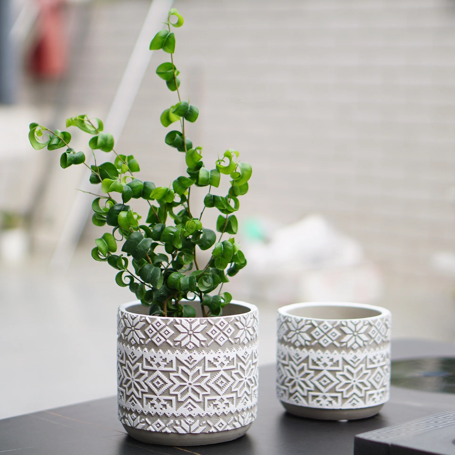 梅雨に備えて買うべき！通気性と心の安定を両立するアイテム完全ガイド