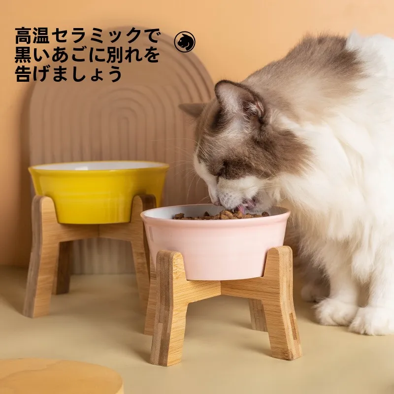 犬のお散歩グッズをコスパ良く揃える方法｜取り外し可能リードの徹底解説