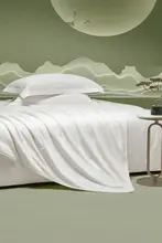 LUOLAI 全棉100%シルク春秋用掛け布団【二合一・エアコン対応・快適なひんやり感】