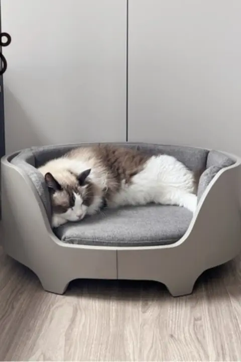 デザイナー製 猫用ベッド【木製・洗える・四季対応】