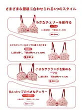 ノンワイヤーブラジャー【フレンチスタイル・甘美デザイン・小胸向け】