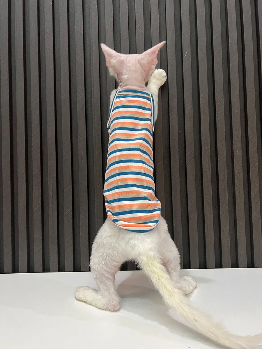 スフィンクスの肌に優しい、純綿のキャットウェアは本当に必要なのか？