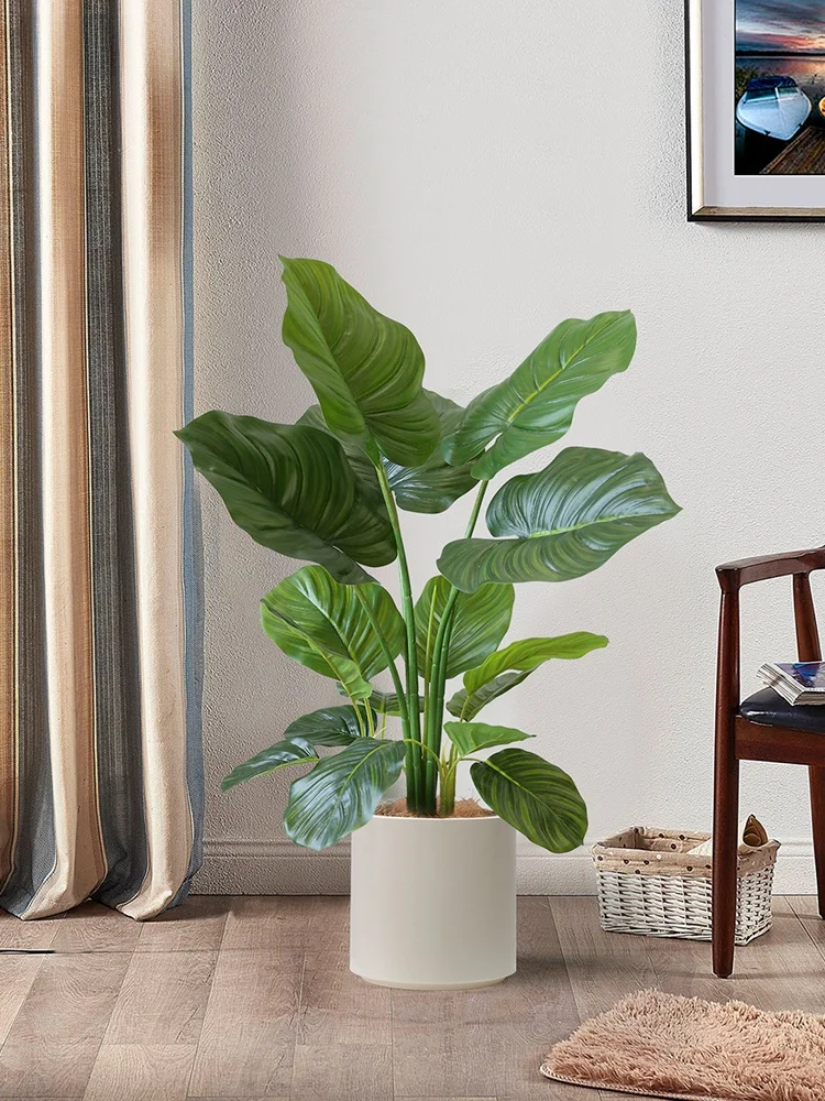 見つけたデイリー雑貨まとめ スイカの木 80cm 屋内観葉植物の実用性とデザイン性