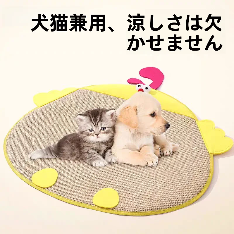 ラタン製マットを選ぶべきタイミングは？ペットの夏を涼しくするための1つの答え