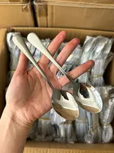 家庭用ステンレススプーン【デザート用・コーヒー用・アイスクリーム用】（セットアップ対応）