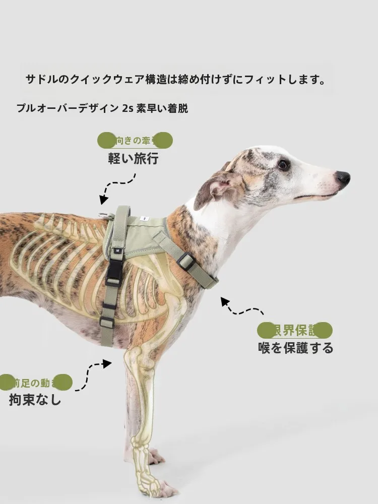 犬のお散歩グッズをコスパ良く揃える方法　ベスト式ハーネスの実測ガイド