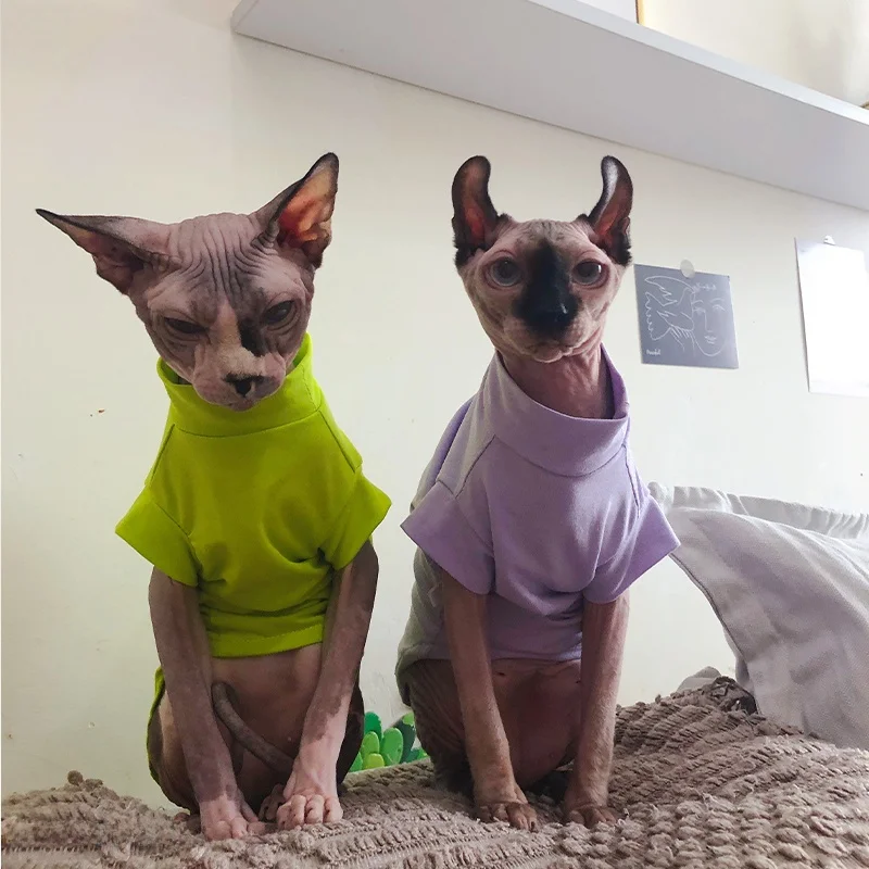 春夏用スフィンクス猫用薄手モダールコットンTシャツ：ペット猫飼いやすいデザインの実用性を検証