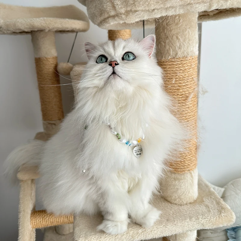 ペットネックレスをどう選ぶ？猫や犬にかける「陶器ビーズ」の魅力と選び方を徹底解説