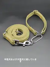 大型犬用 リード【短め・強化素材・金色ラブラドール犬対応】