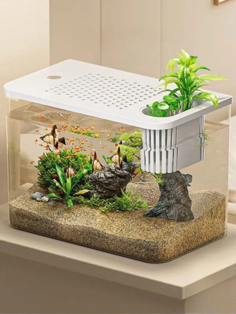 小型観賞魚水槽で水草を育てるための最適な設計とは？