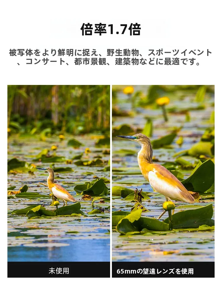 スマホで望遠撮影が可能になる？カメラレンズの選び方と、実際の使い方を徹底解説