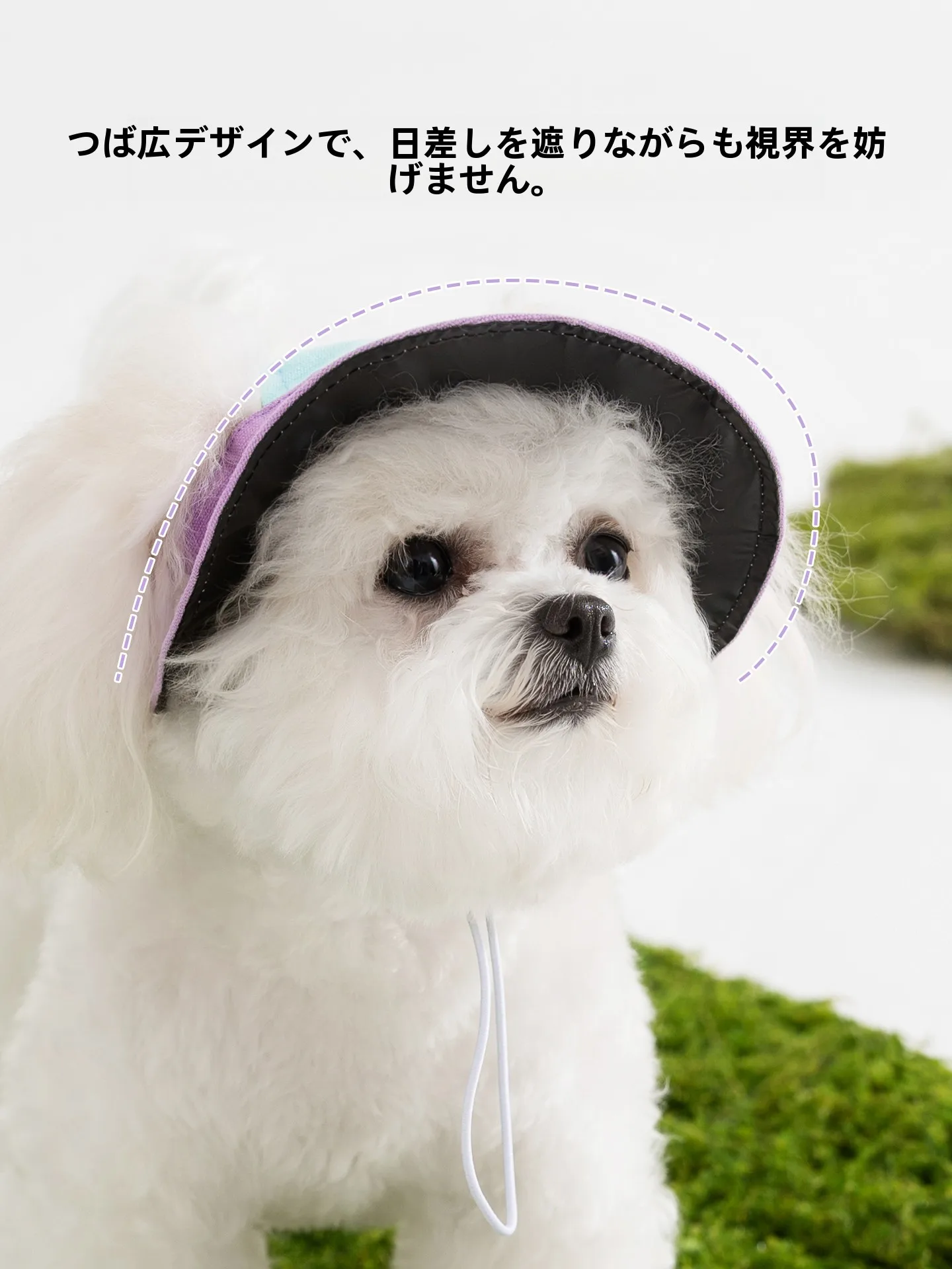 hipidog ペット用 紫外線対策帽子：犬・猫用日よけの耳出しデザインと実用性の詳細解析