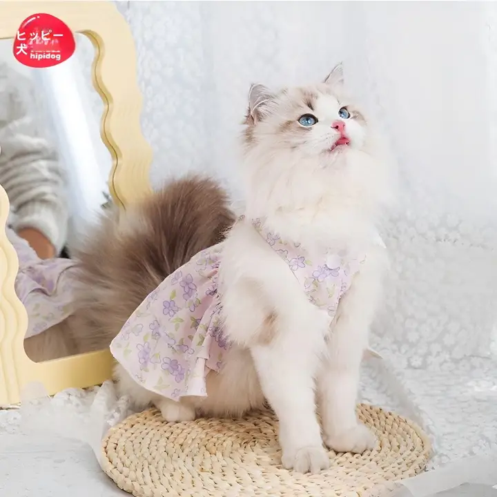花柄レース付き子猫のドレス【夏用・薄型・ペット衣装】