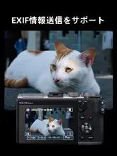 レンズマウントアダプター EF-EOS M AF対応 EF EF-Sレンズ EOS M6 M5 M50 M50II M100 「Viltrox」
