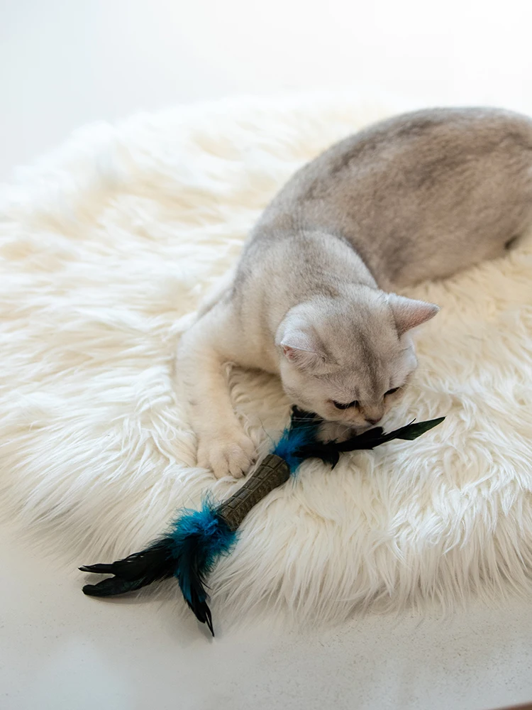 猫用おもちゃ【羽根付き・噛みご  たえあり・ミント配合】：実際の使用シーンと性能の詳細解析
