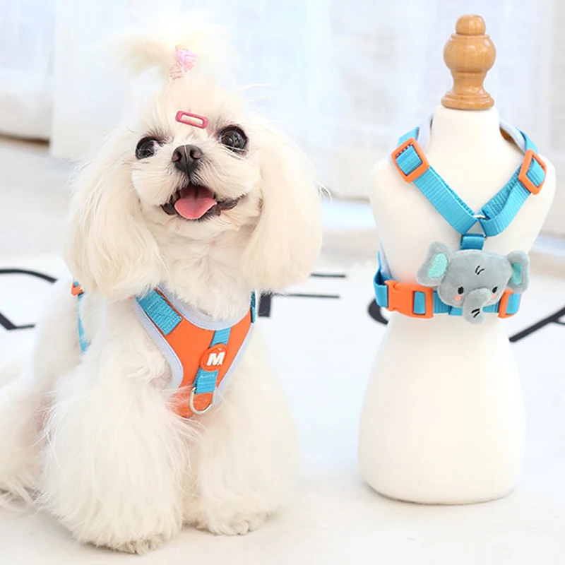リードハーネス 小型犬 外出用 チェストハーネスの選び方と実用性