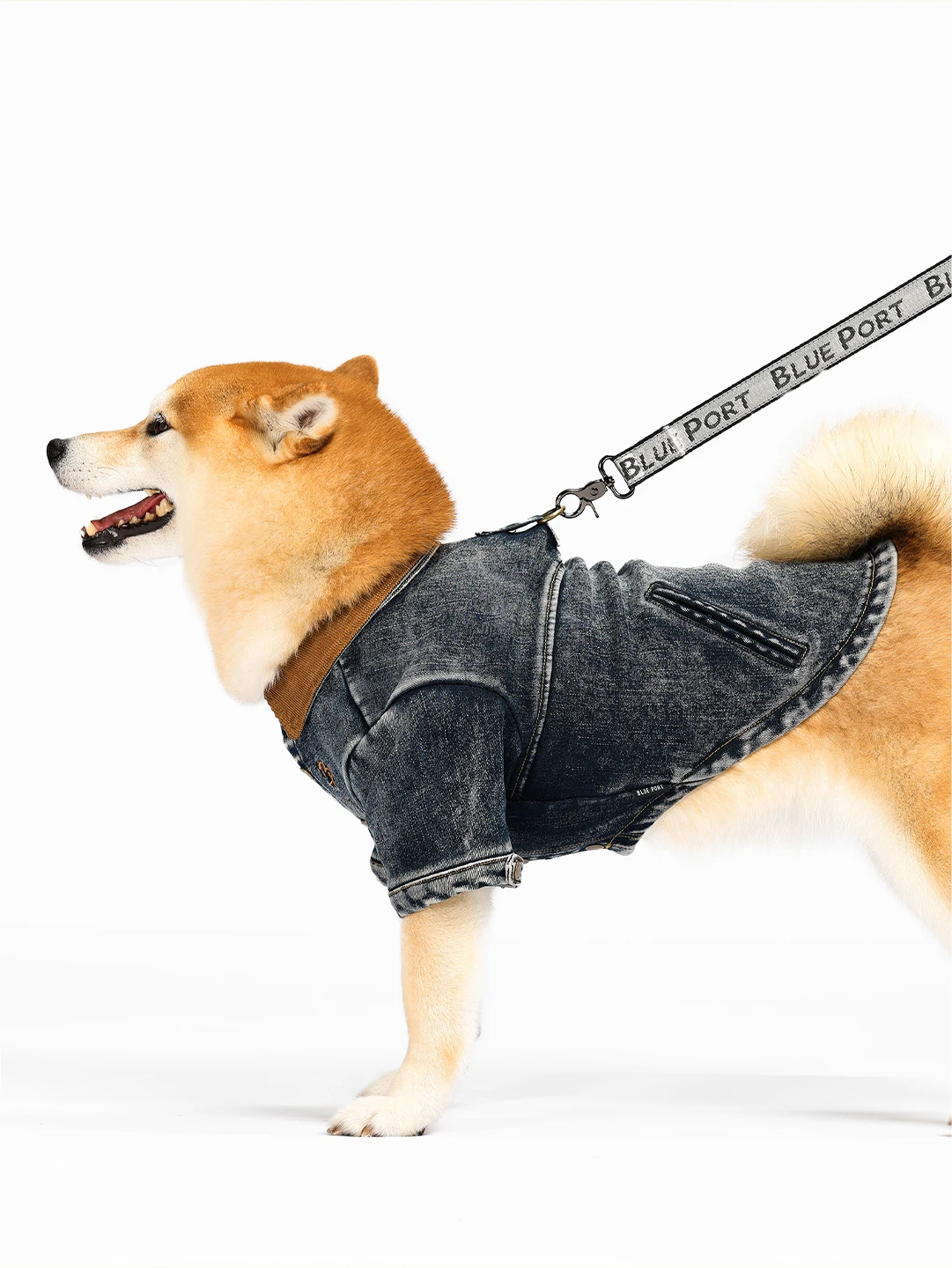 犬のお散歩グッズをコスパ良く揃える方法 - 防水加工とエンボスデザインの機能性