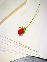 ヴィンテージ風草香る羊皮紙の手紙と封筒【シンプルな日本風・練習用・書道用】（セットアップ対応）