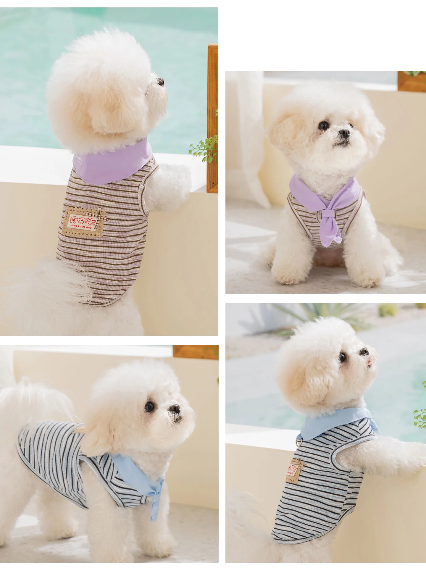 夏の犬にぴったりの薄手衣服は、どう選ぶ？
