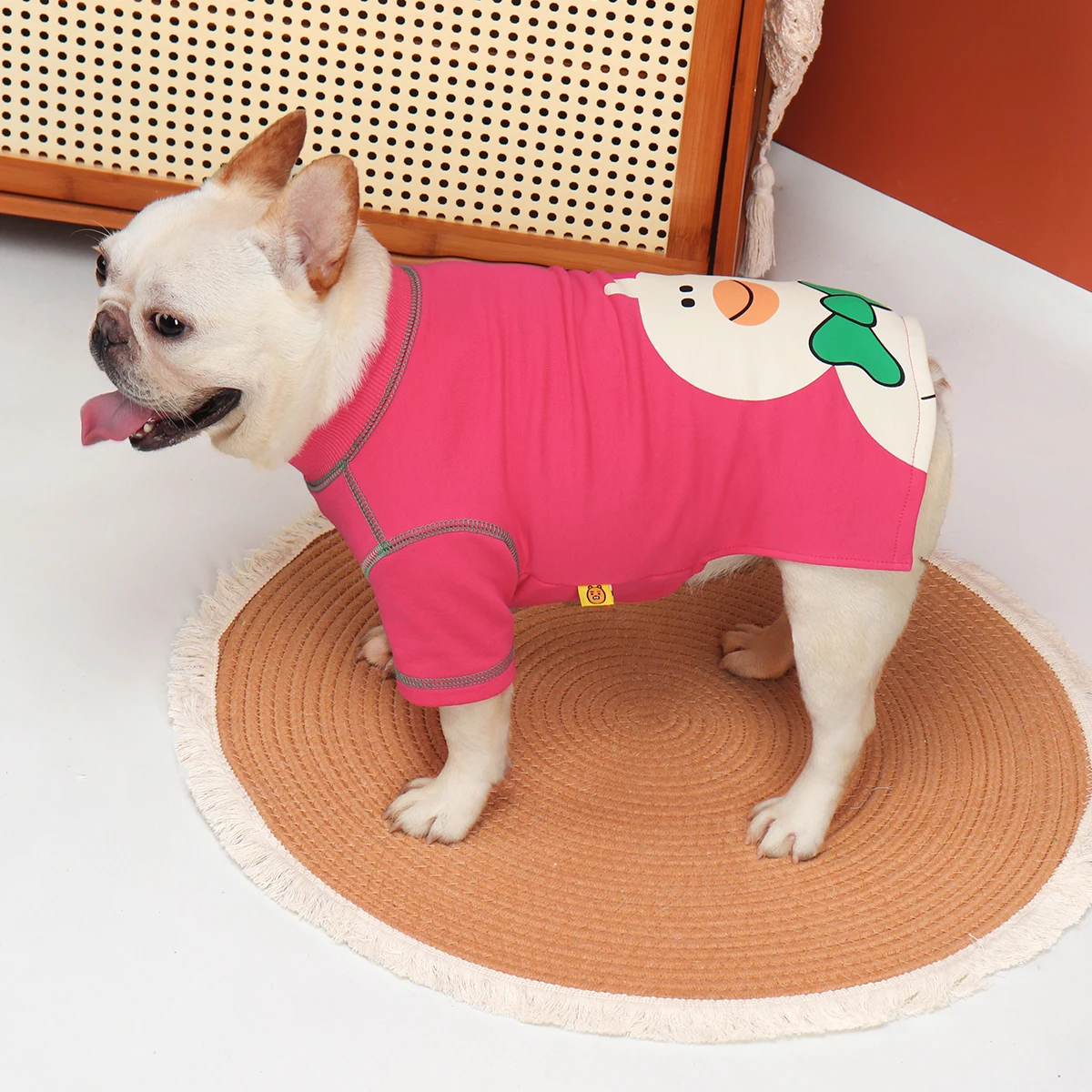 秋用デザイン犬服：小型犬向け薄手タイプの寒さ対策に最適な選択肢