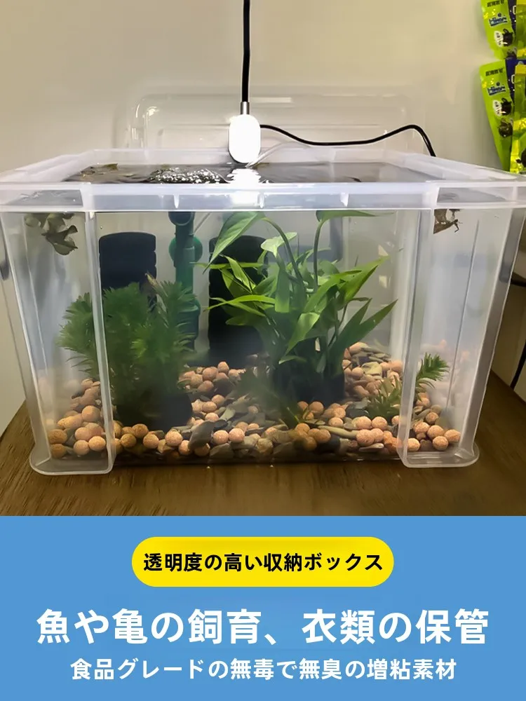 メダカ稚魚飼育に最適な透明プラスチックアクアリウムボックスの選び方