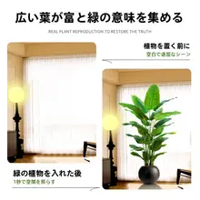 模擬緑植物極楽鳥リビングルーム床から天井までの大きな植物