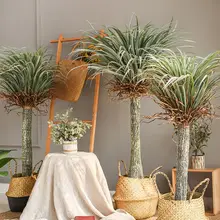 大型植物 装飾 グリーン 植木 背景リアル