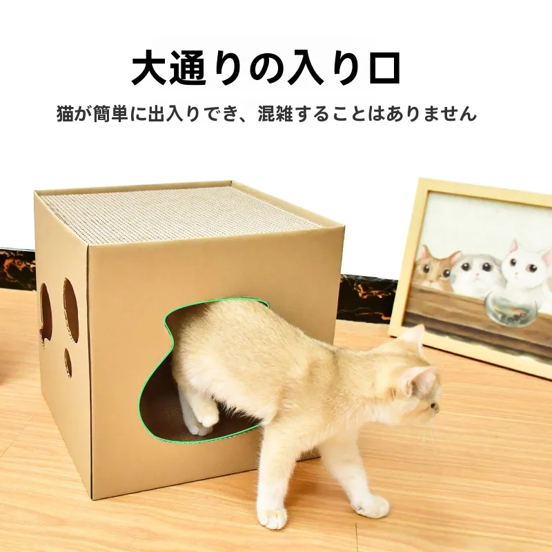 猫飼いが買ってよかったもの・悪かったもの正直に言う｜爪とぎと遊び場を1つにしたダンボールハウスの徹底解説