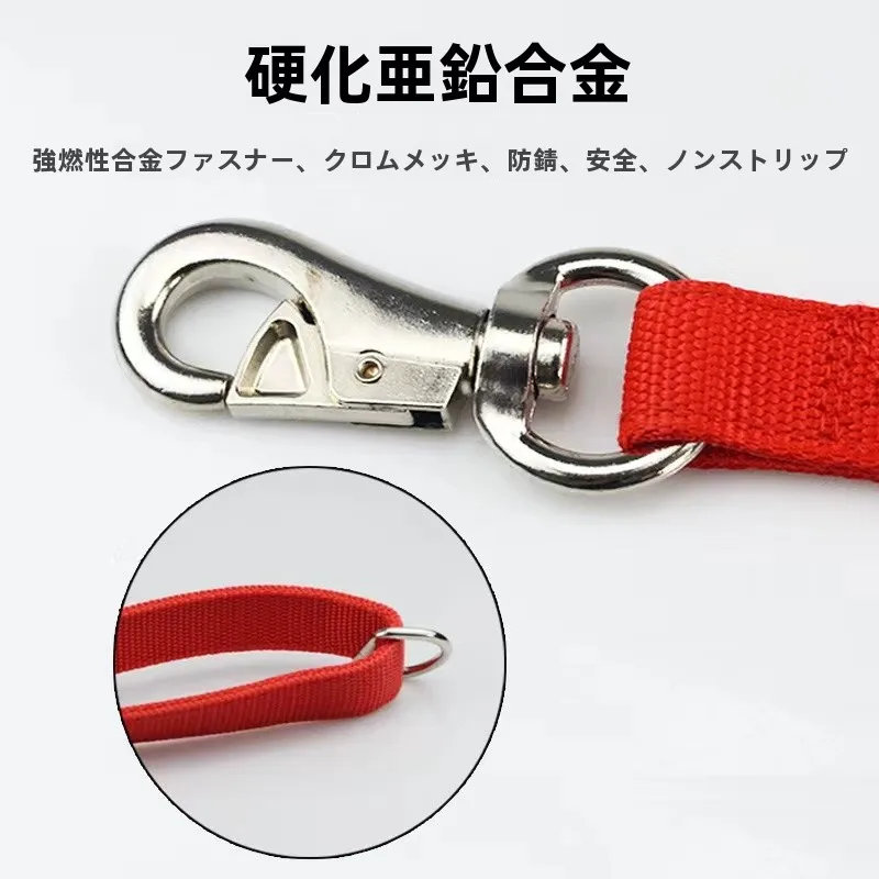 犬のお散歩グッズをコスパ良く揃える方法　太めリードの徹底解説