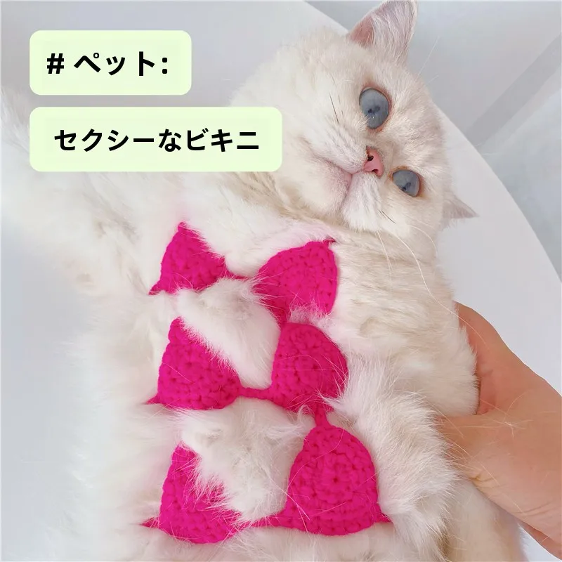 手作り毛糸猫用ビキニ：秋シーズン向けの趣味性と撮影用途に最適なインナー