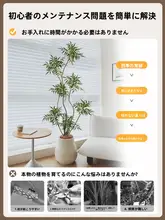 高級な擬似植物 フロアインテリア【和のスタイル・落ち着いた雰囲気】