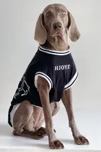 大型犬用 夏用ペットウェア【薄手・ドッグTシャツ・ゴールデンレトリバー・ラブラドール対応】