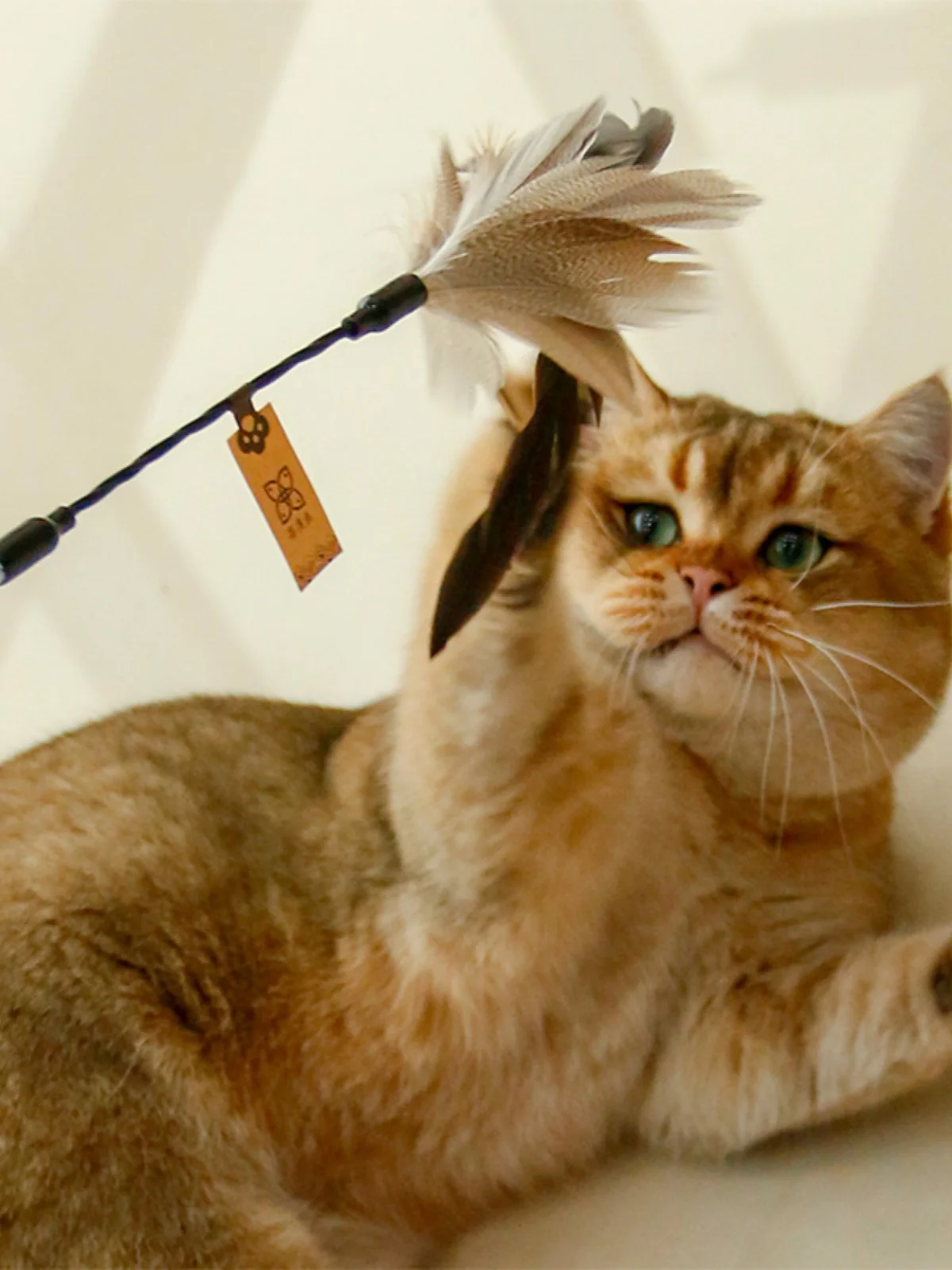羽毛付き鈴音おもちゃ：エコ素材とインタラクティブデザインが特徴の猫用バードスタイルアイテム