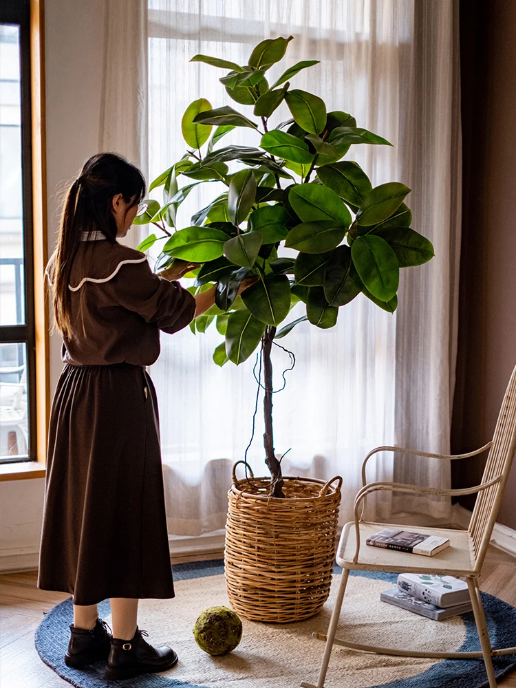 一人暮らし新生活をだけで揃えたら総額いくら？高級感あるフェイクグリーンゴムの木で心の余裕を創る完全ガイド
